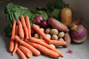 winter half share color